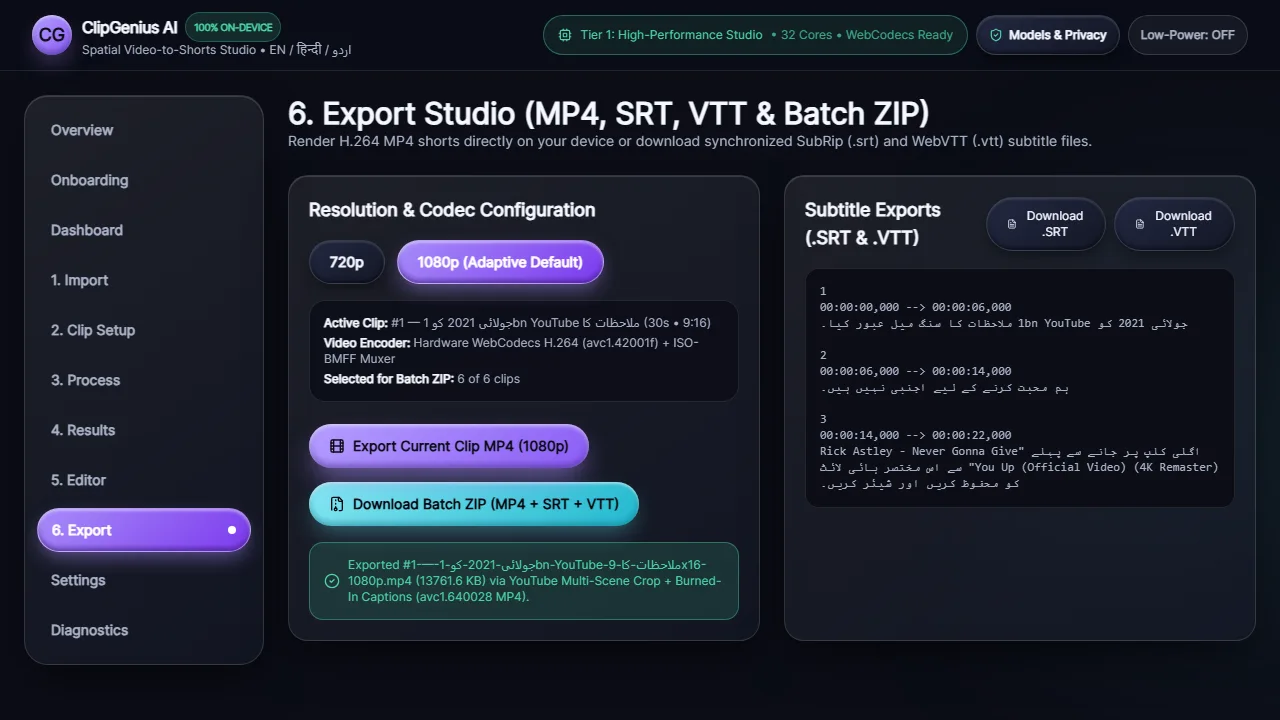 Export studio: prepare selected clips and subtitle files for sharing.