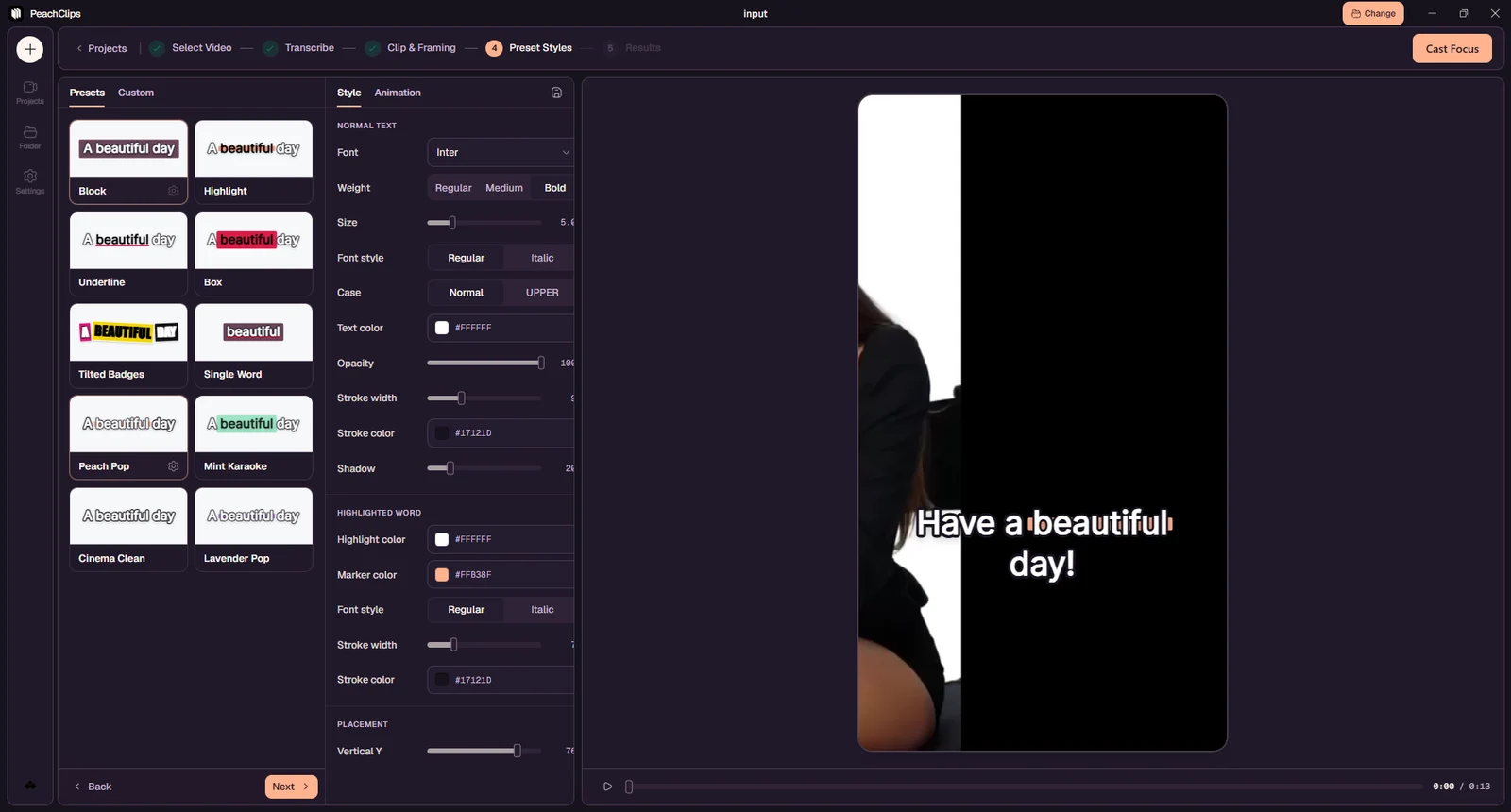 Caption styling: choose a preset and adjust the text appearance over the video.